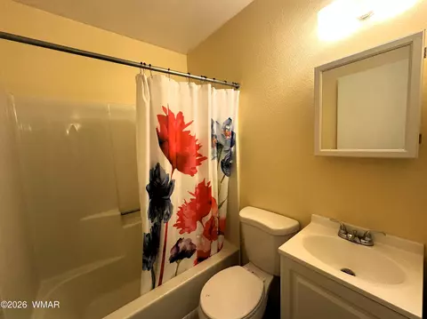 Bath - 134 W 3rd Pl, Eagar, AZ 85925 photo 2 of 2