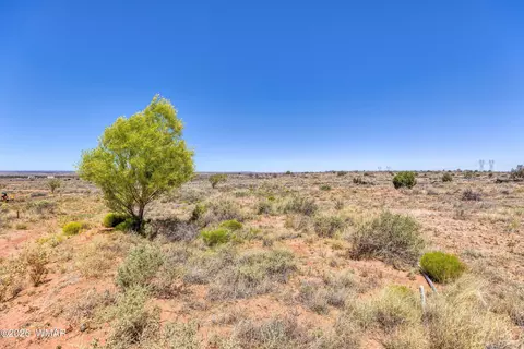 8338 Chipewa Trl, Snowflake, AZ 85937 photo 22