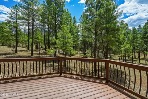 Exterior - 3705 Apache Dr, Happy Jack, AZ 86024 photo 4 of 13