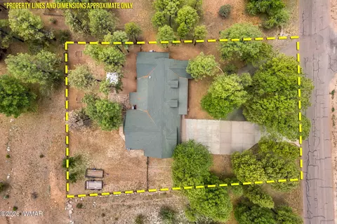 View/Area - 2917 Lodgepole, Overgaard, AZ 85933 photo 3 of 3