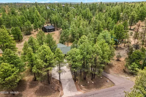 View/Area - 2917 Lodgepole, Overgaard, AZ 85933 photo 1 of 3