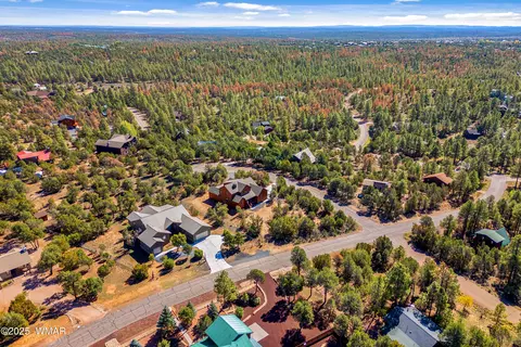 View/Area - 2268 Roundabout Cir, Overgaard, AZ 85933 photo 3 of 6