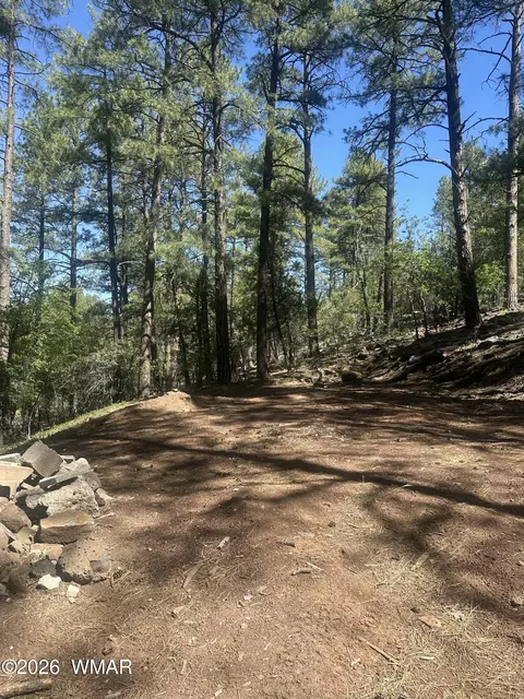 230 W Pine Shadow Dr, Lakeside, AZ 85929