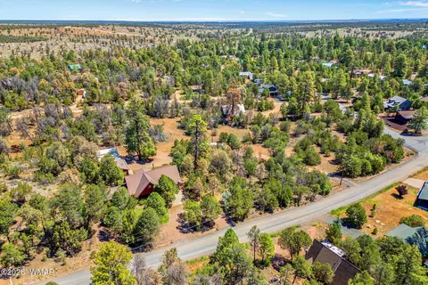 View/Area - 3130 Ranch Rd, Overgaard, AZ 85933 photo 2 of 3