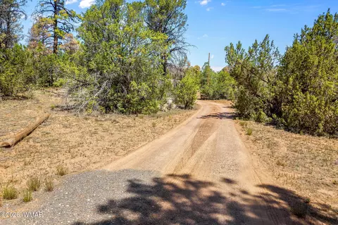 Other - 3130 Ranch Rd, Overgaard, AZ 85933 photo 11 of 11