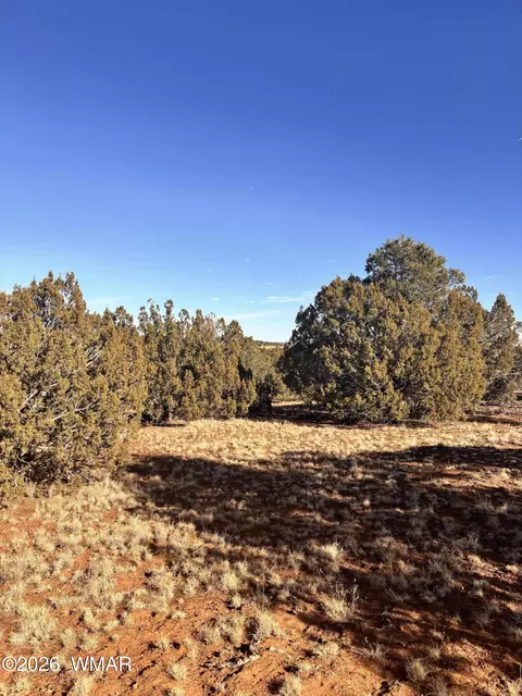 37 Cinder Dr, Concho, AZ 85924 photo 4