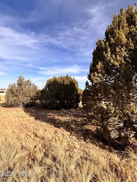 37 Cinder Dr, Concho, AZ 85924 photo 2
