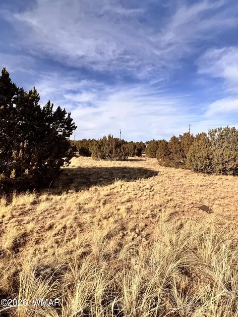 37 Cinder Dr, Concho, AZ 85924 photo 5
