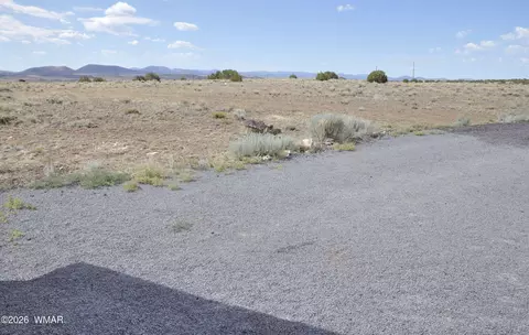 22 Antelope Ave, Concho, AZ 85924 photo 32