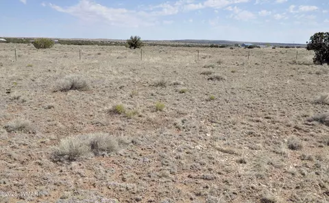 22 Antelope Ave, Concho, AZ 85924 photo 34