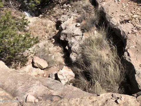 785 Twin Tanks Rd, Heber, AZ 85928