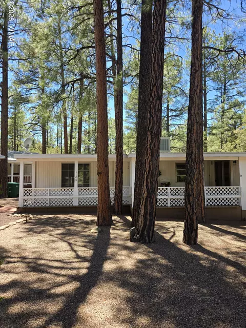 1100 N 43rd Loop, Show Low, AZ 85901