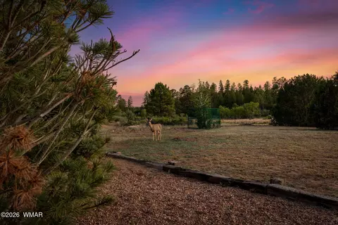 Other - 2868 Meadow Rd, Heber, AZ 85928 photo 13 of 15