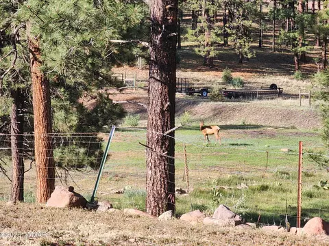 Other - 54 1st N St, Alpine, AZ 85920 photo 9 of 12