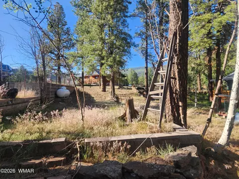 Exterior - 54 1st N St, Alpine, AZ 85920 photo 3 of 8