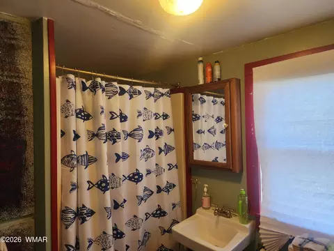 Bath - 54 1st N St, Alpine, AZ 85920 photo 1 of 1