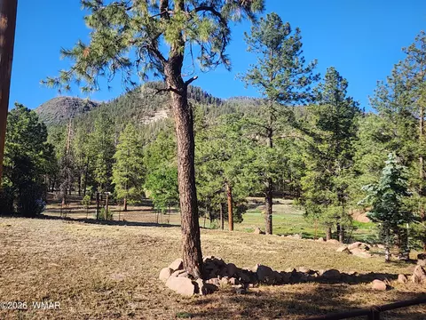 Exterior - 54 1st N St, Alpine, AZ 85920 photo 6 of 8