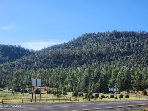 Other - 54 1st N St, Alpine, AZ 85920 photo 12 of 12