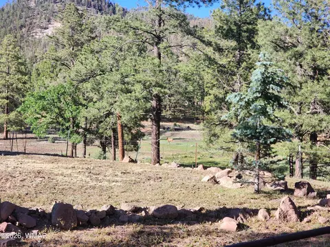 Exterior - 54 1st N St, Alpine, AZ 85920 photo 4 of 8