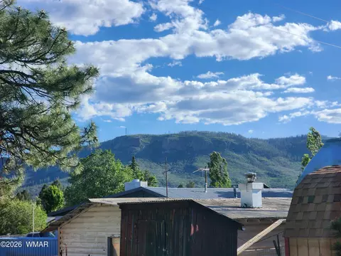 Other - 54 1st N St, Alpine, AZ 85920 photo 7 of 12