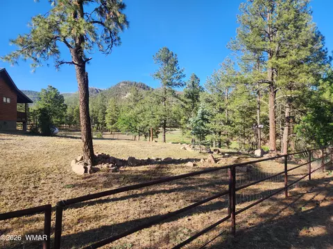 Exterior - 54 1st N St, Alpine, AZ 85920 photo 5 of 8
