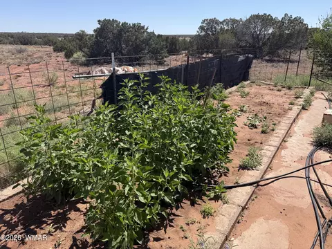 Exterior - 10 County Road 5463 Rd, Concho, AZ 85924 photo 2 of 3
