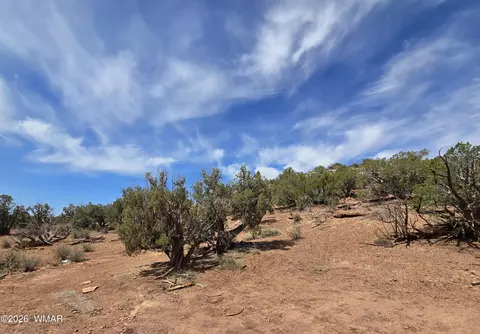 9255 Tonto Rd, Snowflake, AZ 85937