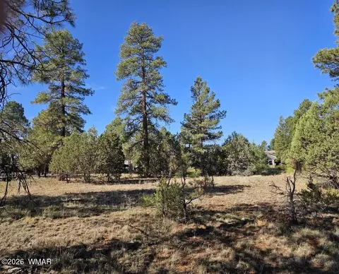 2236 Moccasin Dr, Overgaard, AZ 85933