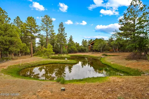 4401 W Shaggy Bark Rd, Show Low, AZ 85901