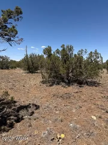 8476 Elkhorn Dr, Show Low, AZ 85901
