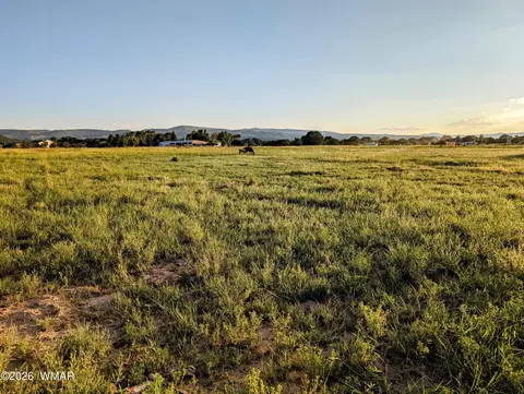 Other - 504 E 4th St, Eagar, AZ 85925 photo 2 of 18