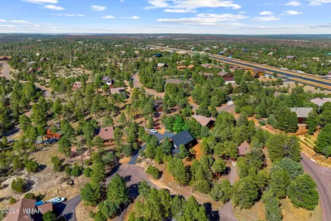 View/Area - 2789 Doolittle Cir, Overgaard, AZ 85933 photo 2 of 6