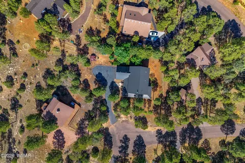 View/Area - 2789 Doolittle Cir, Overgaard, AZ 85933 photo 3 of 6