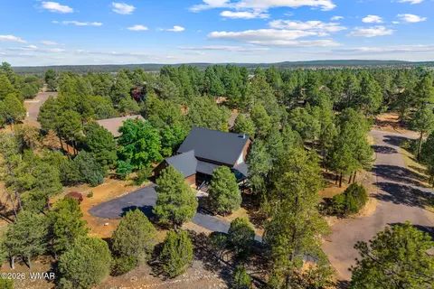 View/Area - 2789 Doolittle Cir, Overgaard, AZ 85933 photo 4 of 6