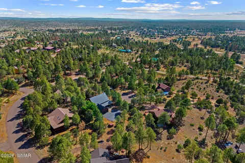 View/Area - 2789 Doolittle Cir, Overgaard, AZ 85933 photo 5 of 6
