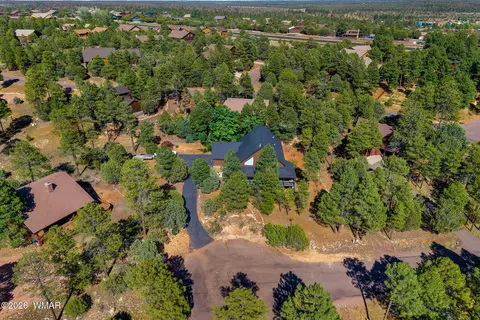 View/Area - 2789 Doolittle Cir, Overgaard, AZ 85933 photo 1 of 6