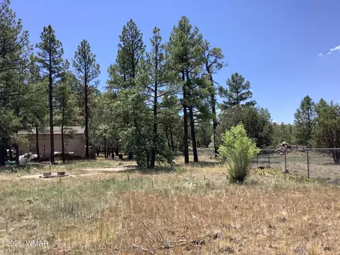 1421 Zola St, Lakeside, AZ 85929