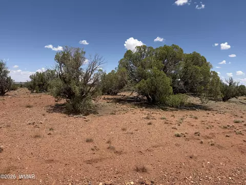 20 N 9160, Concho, AZ 85924