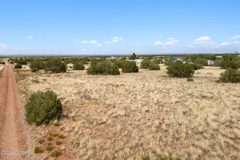 4473 Garibaldi Rd, Snowflake, AZ 85937