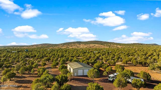 61 County Road 3114, Vernon, AZ 85940