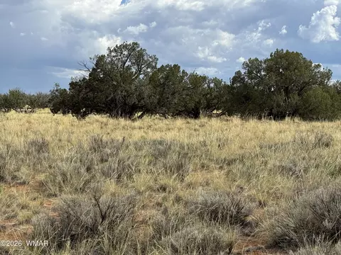 2445 Athapascan Dr, Heber, AZ 85928