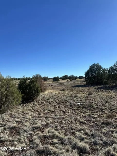 tbd 201-29-164d, Concho, AZ 85924