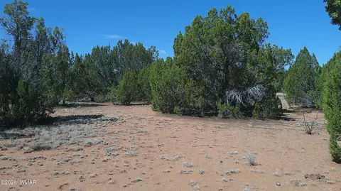 tbd Concho Vly #LOT 3, Concho Valley, AZ 85924