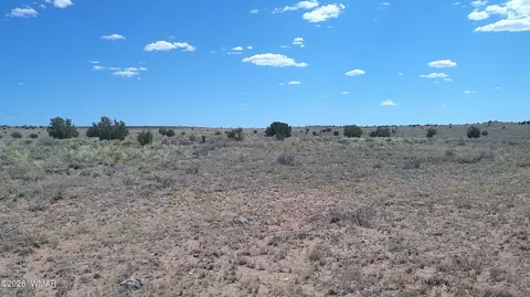 8356 Holly Trl, Snowflake, AZ 85937