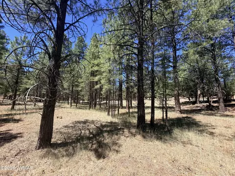 2124 Antelope Way, Happy Jack, AZ 86024