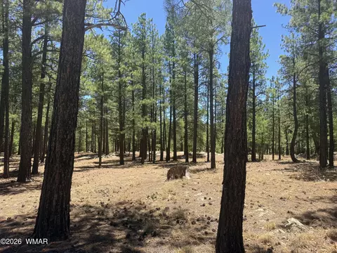 4215 Apache Dr, Happy Jack, AZ 86024