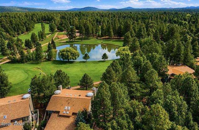 4508 Crown Dancer Dr, Pinetop, AZ 85935