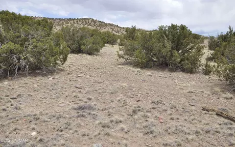 88 County Road 5035 # B, Concho, AZ 85924 photo 6