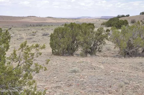 88 County Road 5035 # B, Concho, AZ 85924
