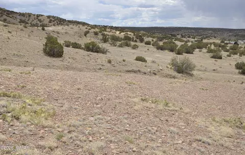 88 County Road 5035 # B, Concho, AZ 85924 photo 15